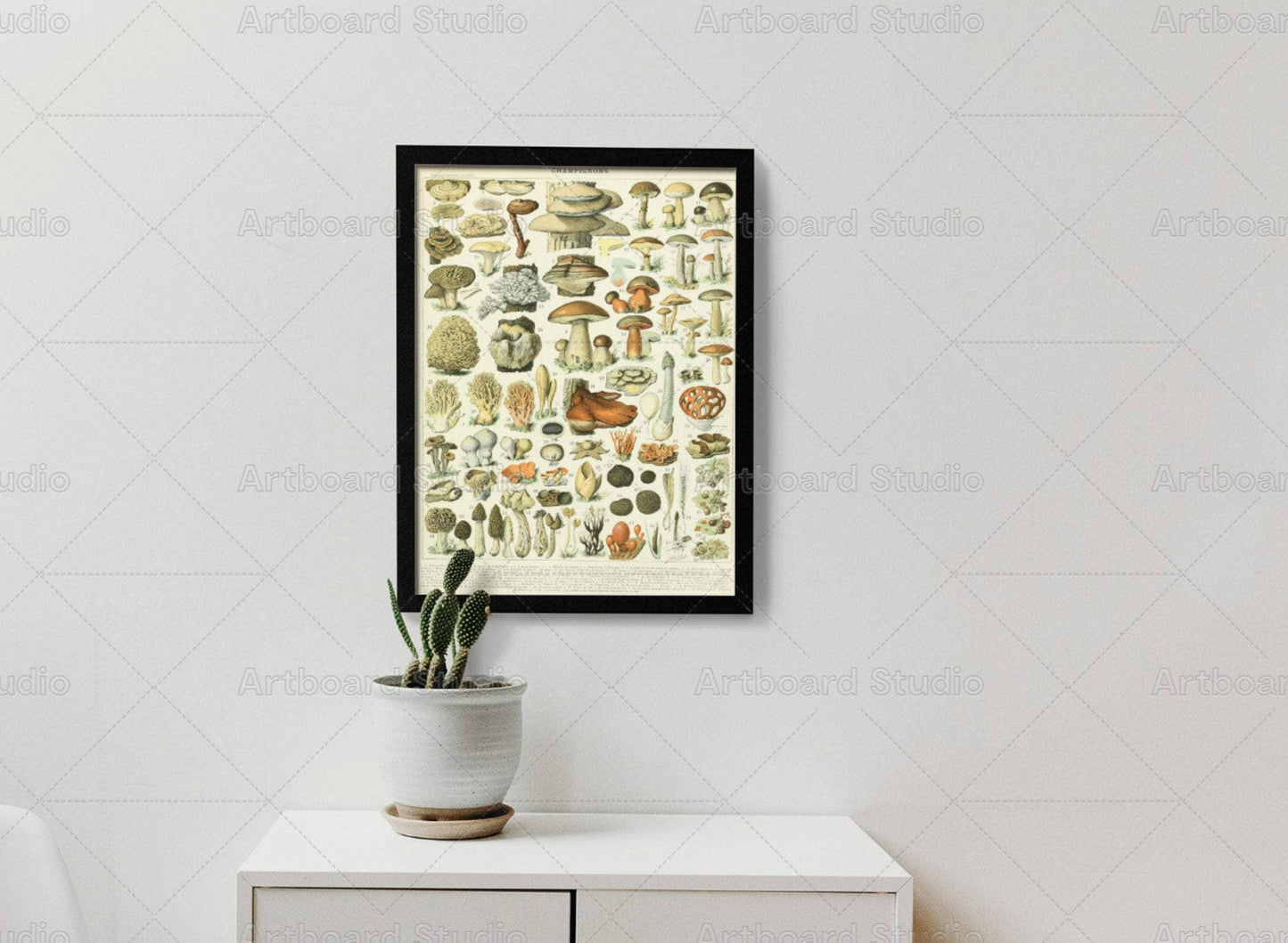 Lámina de setas vintage I - Arte botánico de Adolphe Millot