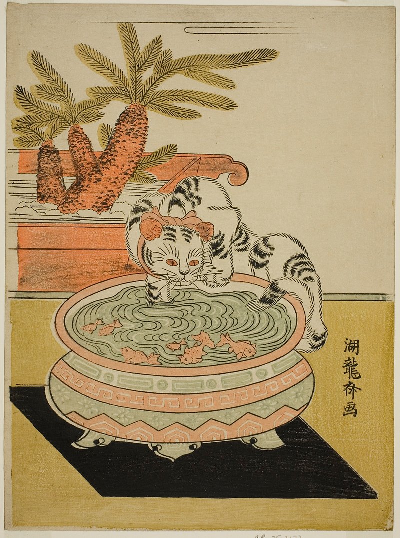 A traditional Japanese art print featuring a cat pawing at goldfish in a pond, with a red and orange background and decorative plants.