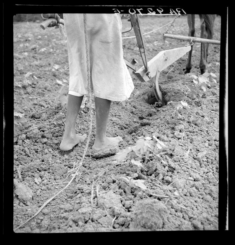 Dorothea Lange Art Print - Alabama Plow Girl