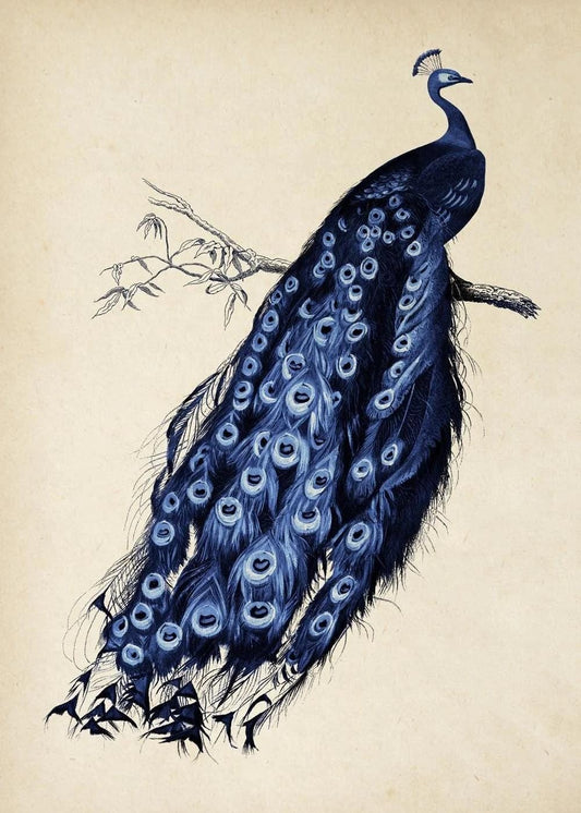 Elegante pavo real posado en una rama - Arte digital vintage para decoración del hogar - Descarga instantánea de arte mural imprimible