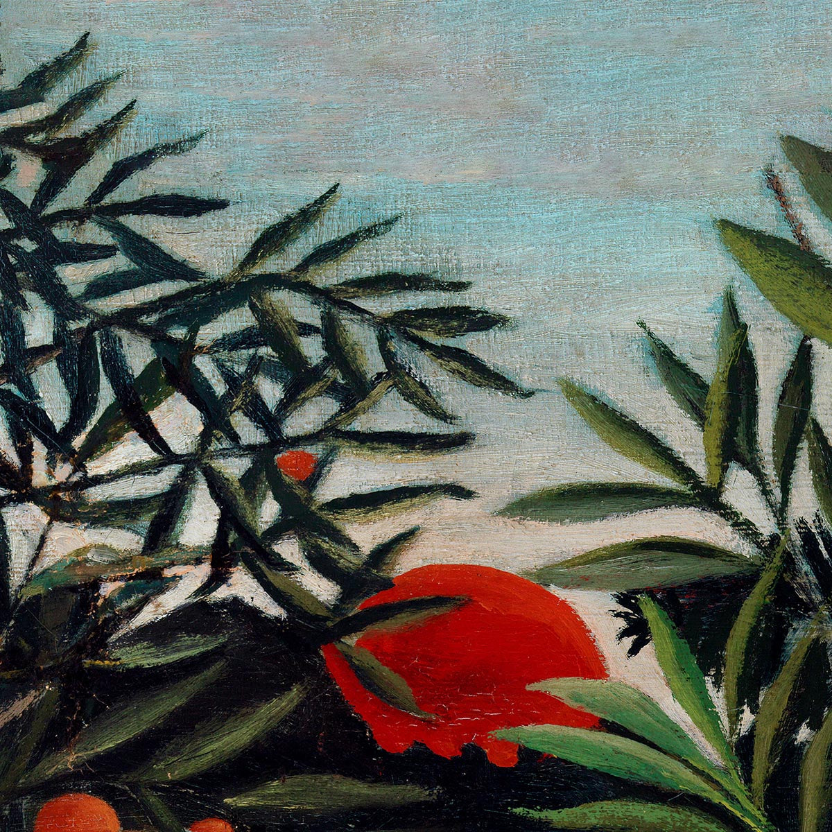 Impresión artística Monos y loros de Rousseau