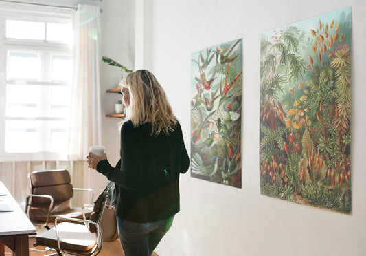 Hongos en el bosque I (Muscinae–Laubmoose) de Ernst Haeckel