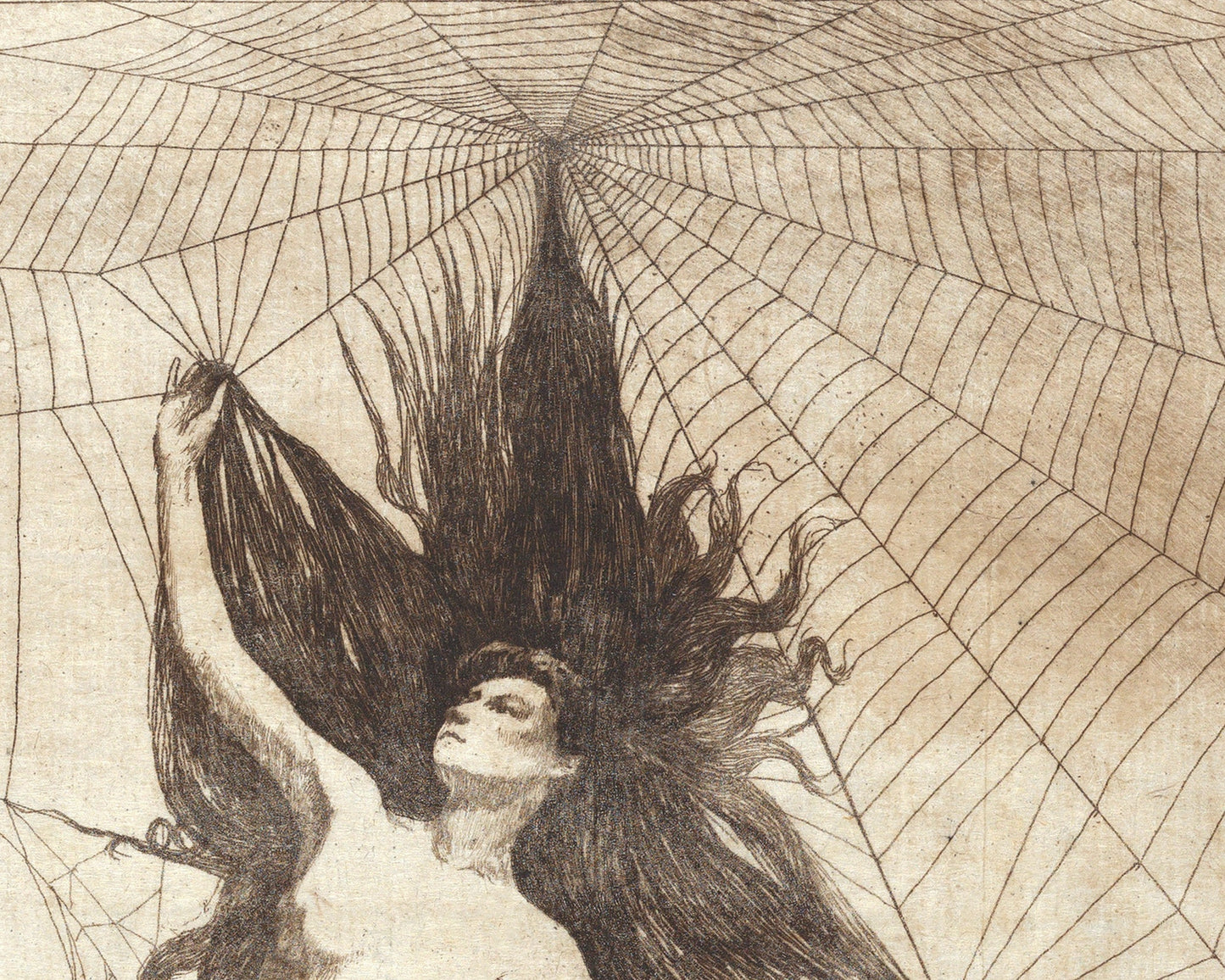 Arte vintage de la mujer araña | Aracne | Boceto de mitología griega | Desnudo gótico vintage | Arte mural ocultista y oscuro | Mujer araña victoriana