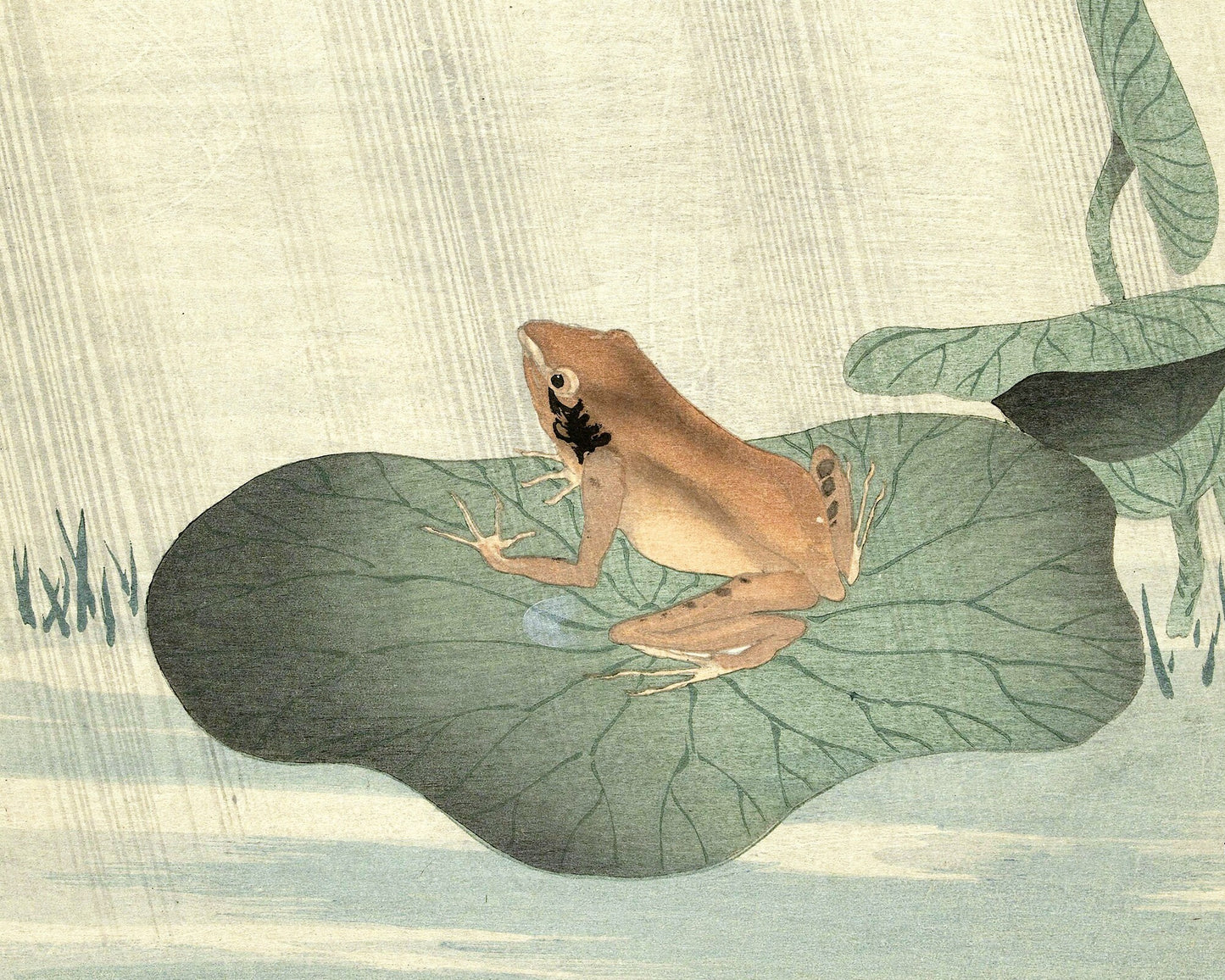 Rana sobre una hoja de loto | Arte mural de animales | Impresión artística en xilografía a color | Escena acuática asiática | Artista japonés | Ohara Koson