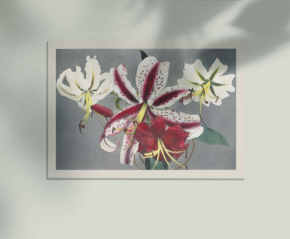 Cuadro de lirios I de Ogawa Kazumasa