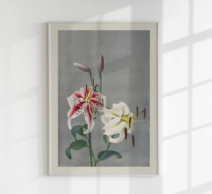 Lily by Ogawa Kazumasa