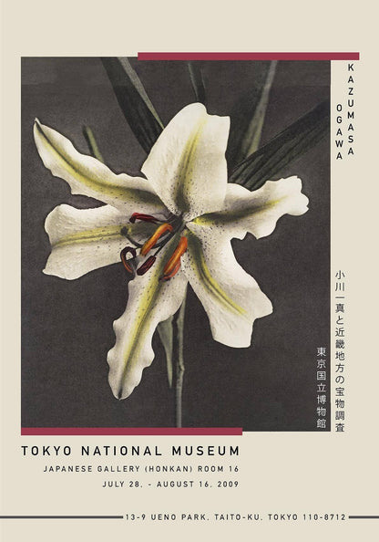Póster de la exposición Lirio blanco en la oscuridad de Ogawa Kazumasa