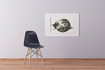 Póster vintage de gatito durmiendo