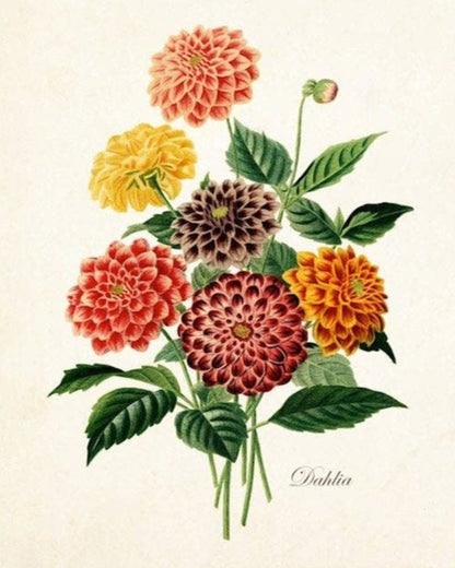 botanical print of colorful flowers on a textured white wall.