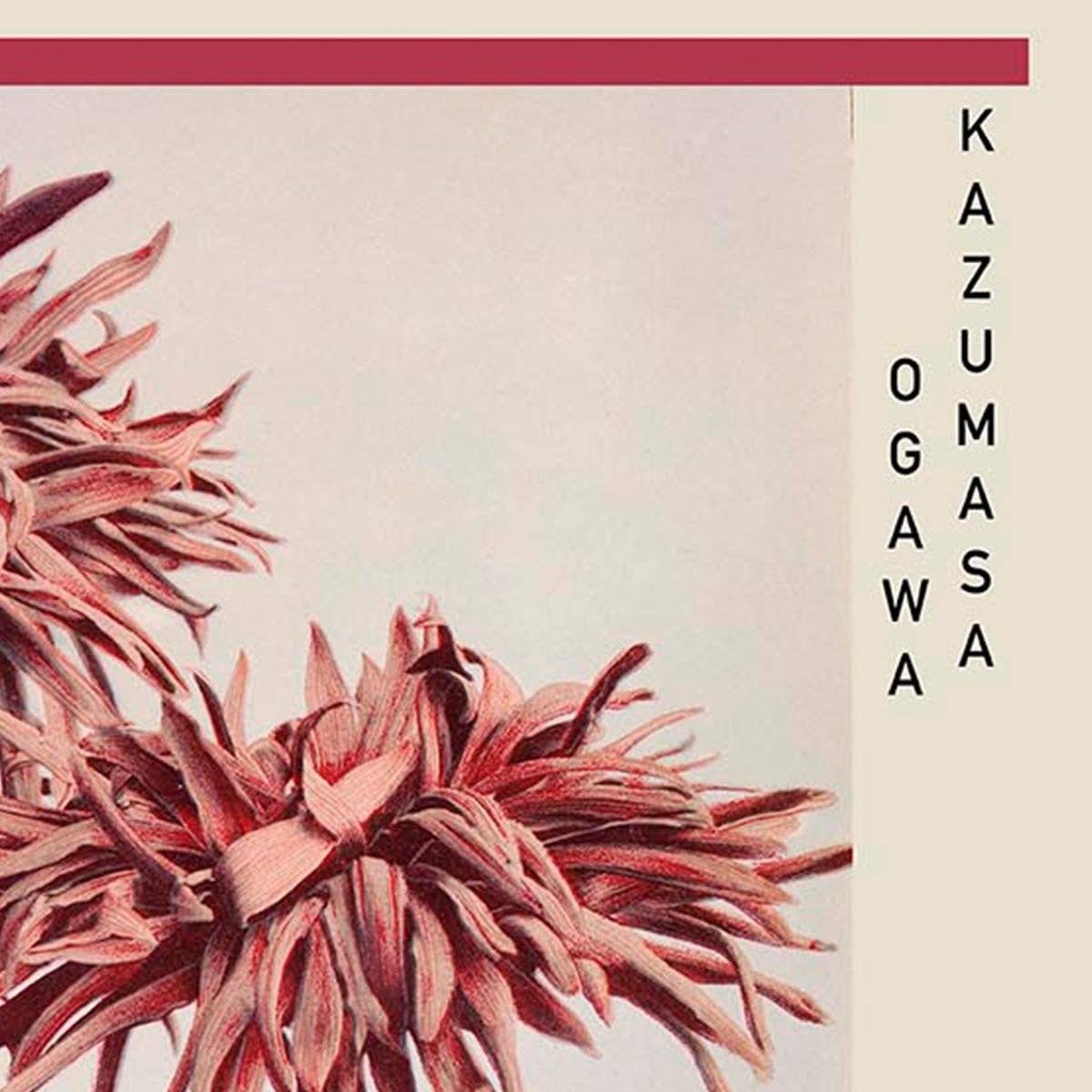 Cartel de la exposición Tres crisantemos rosados ​​de Ogawa Kazumasa