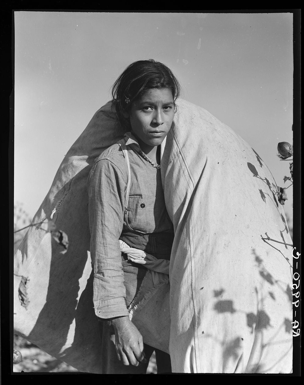 Dorothea Lange Art Print - Migrant Cotton Picker
