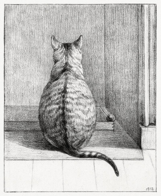 A drawing of a cat sitting in front of a door, looking to the side.
