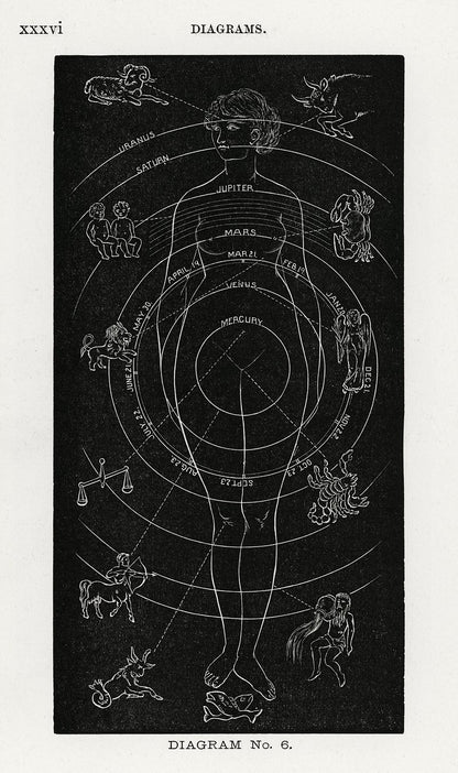 A black and white diagram illustrating zodiac signs and celestial bodies, labeled 'Diagram No.6'.