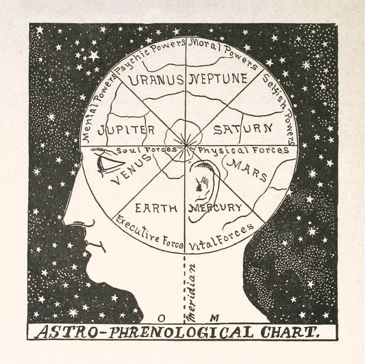 Vintage astrology head chart | Astro-phrenology art | Retro human head illustration | Giclée fine art print | Fun, Eco-friendly gift (whitespace trimmed)