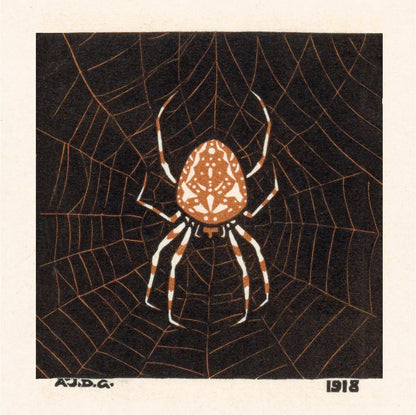 Vintage spider web art | Art nouveau insect woodcut print | Arachnid wall art | Julie de Graag | Female artist | Vintage Halloween décor (whitespace trimmed)