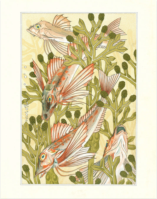 Art nouveau Fish | Red mullet art | Verneuil L'animal dans la Décoration | Natural History print | Modern vintage décor | Eco-friendly gift (whitespace trimmed)