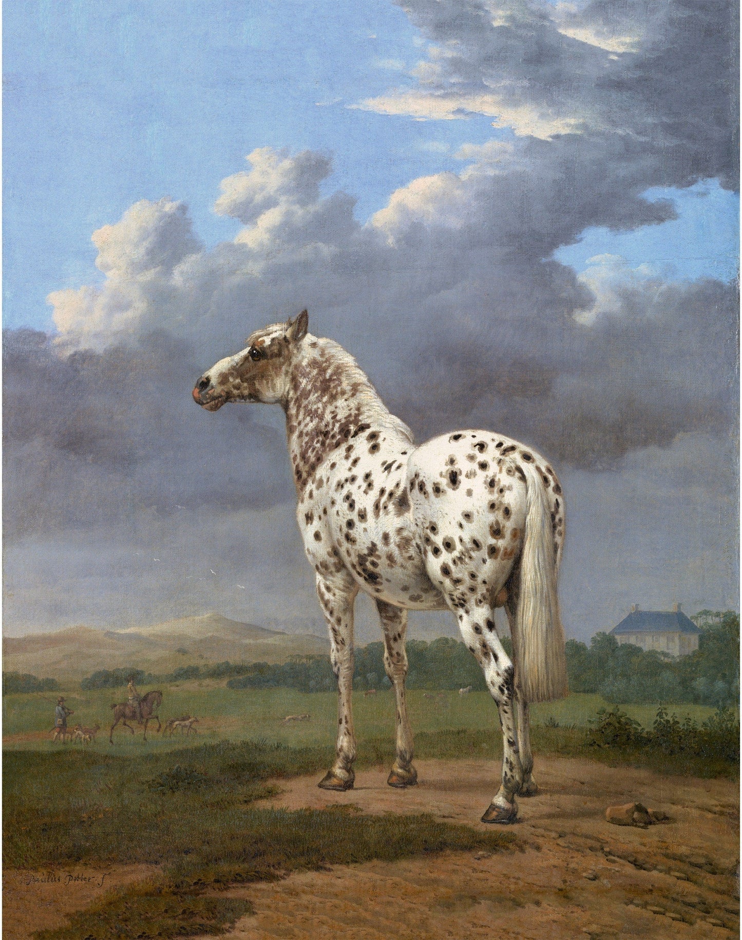 Spotted horse art print | Antique piebald horse | Animal fine art | Vintage equine painting | Horse wall art | Farm and ranch decor (whitespace trimmed)