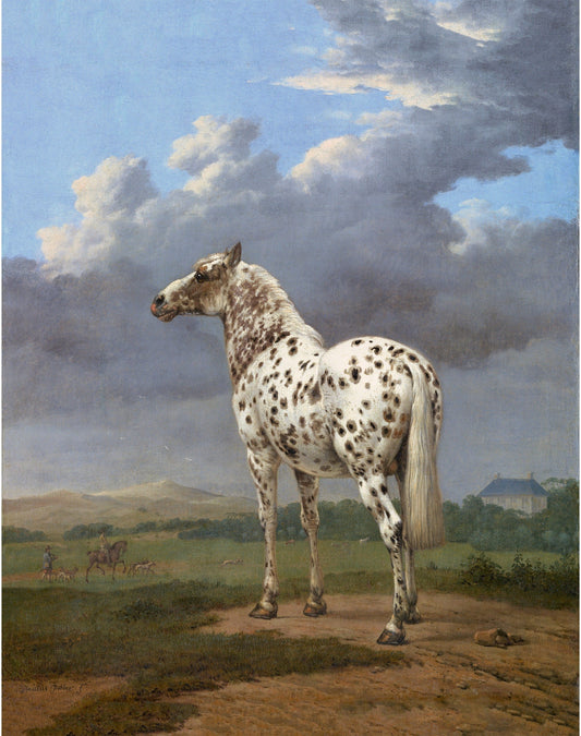 Spotted horse art print | Antique piebald horse | Animal fine art | Vintage equine painting | Horse wall art | Farm and ranch decor (whitespace trimmed)