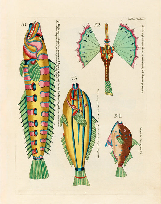 Antique fish art | 18th century natural history | Ocean, aquarium, tropical animal illustration | Vertical or horizontal | Eco-friendly gift (whitespace trimmed)