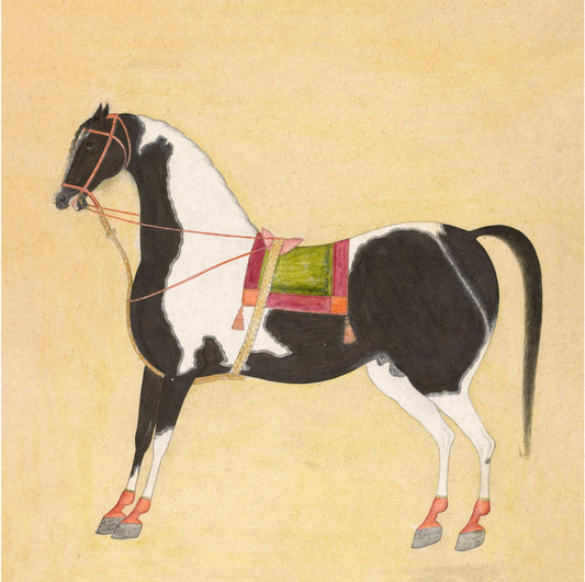Horse art print | The Iraqi Steed Jugaldan | Animal wall art | Piebald horse and saddle | Indian artist | Bhavani Das | 1720 (whitespace trimmed)