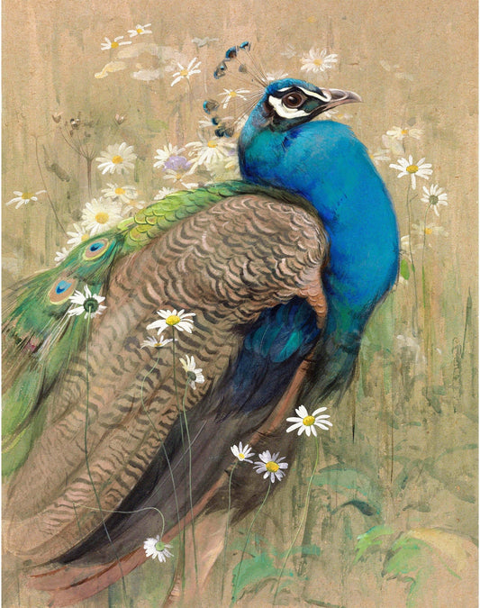 Vintage peacock in daisies print | Decorative bird fine art | Marguerites flowers painting | Bird and flower wall art | Exotic animal art (whitespace trimmed)