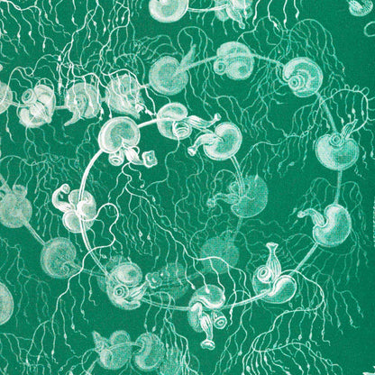 Siphonophorae I de Ernst Haeckel