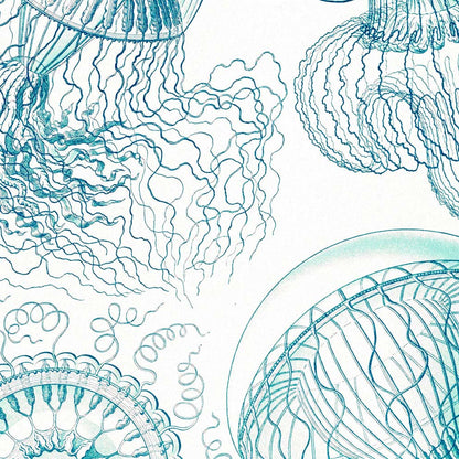 Leptomedusae by Ernst Haeckel