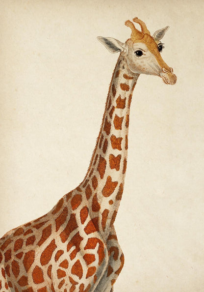 Juego de 7 pósters de pared para galería de arte vintage