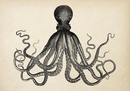 Conjunto de 2 impresiones artísticas de paisajes marinos vintage