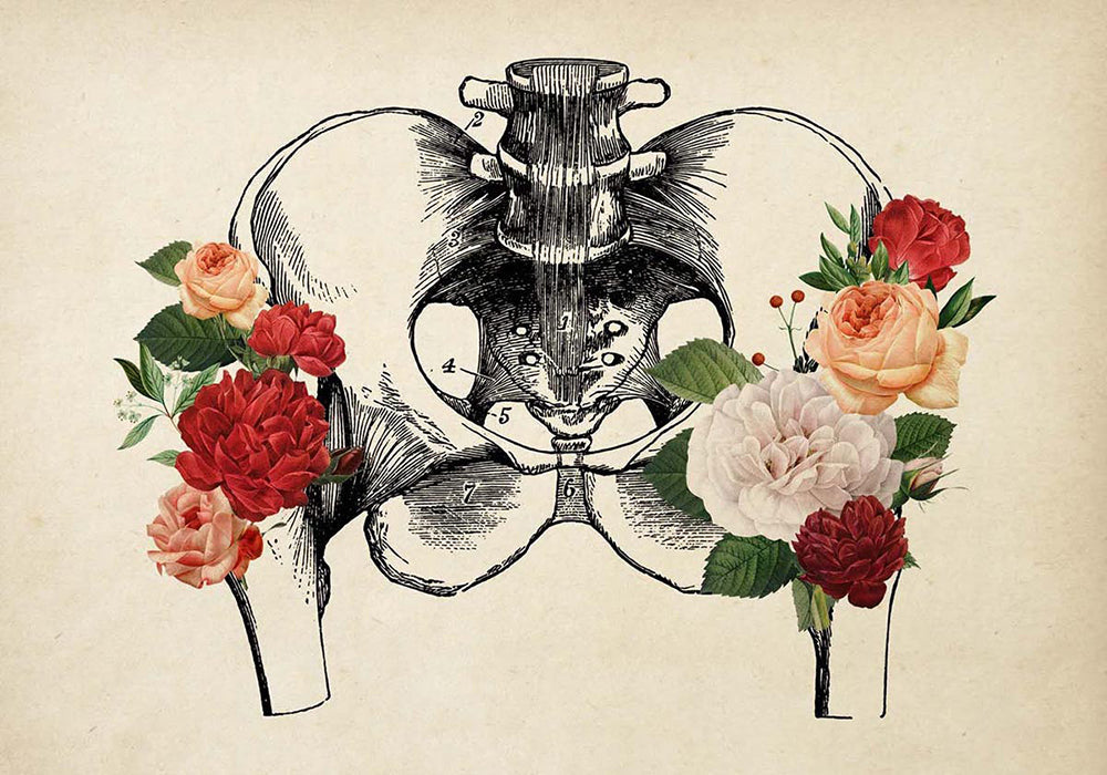 Póster de anatomía vintage "CADERAS Y MANDÍBULA" Juego de 2 impresiones