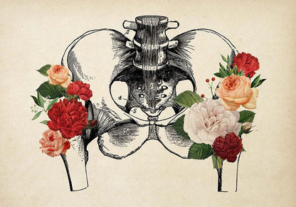 Póster de anatomía vintage "CADERAS Y MANDÍBULA" Juego de 2 impresiones