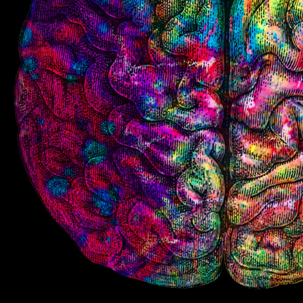 Pósteres de anatomía vintage "REVERSED" Juego de 3 impresiones