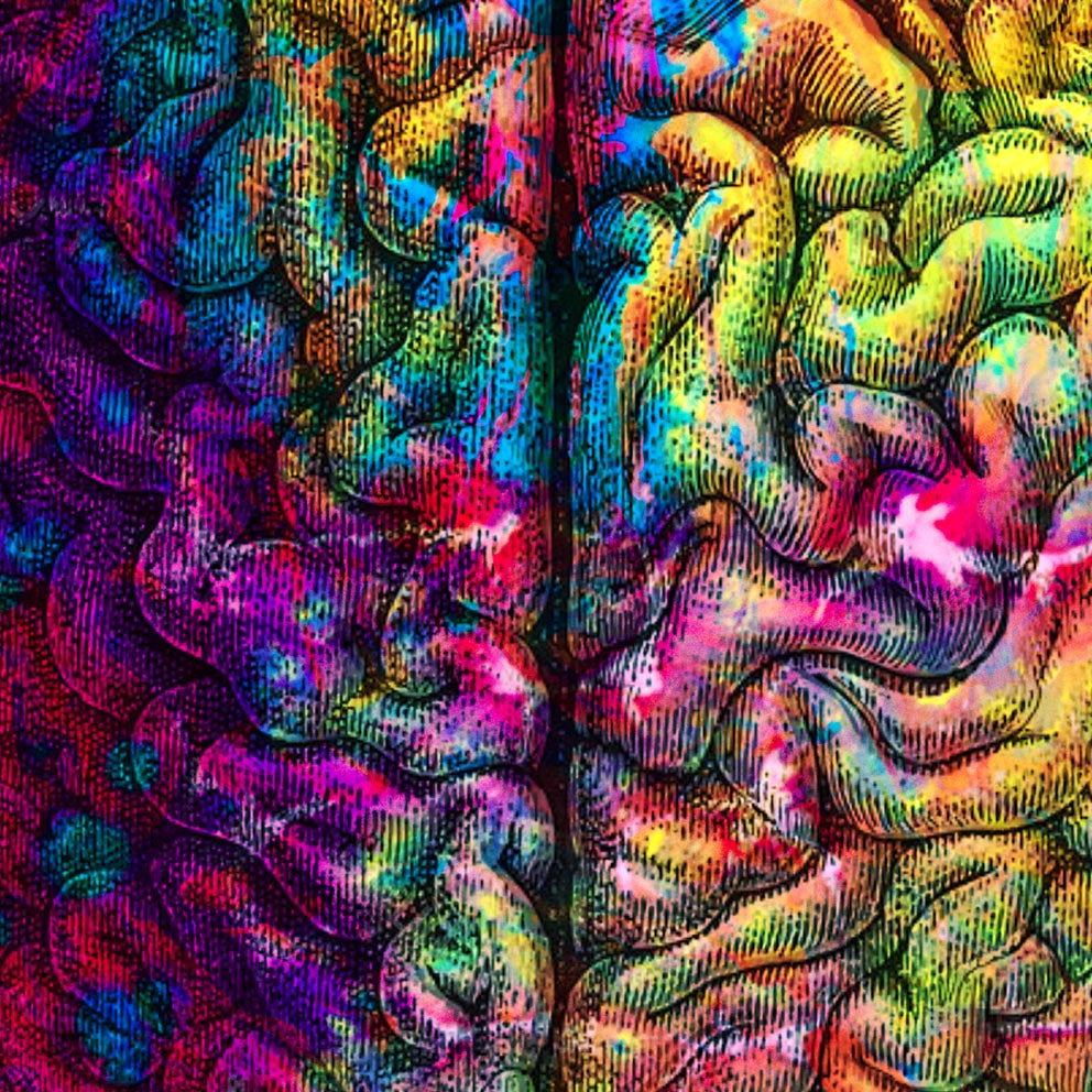 Pósteres de anatomía vintage "REVERSED" Juego de 3 impresiones