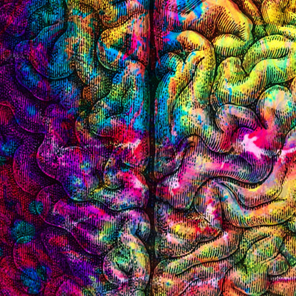 Pósteres de anatomía vintage "REVERSED" Juego de 3 impresiones