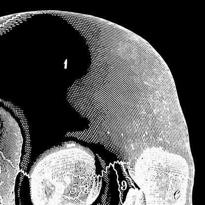 Pósteres de anatomía vintage "REVERSED" Juego de 3 impresiones