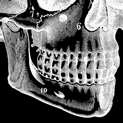 Pósteres de anatomía vintage "REVERSED" Juego de 3 impresiones