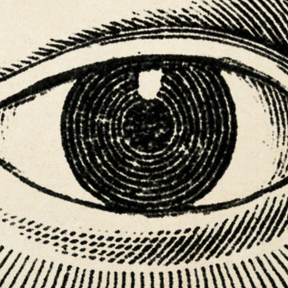 Pósteres de anatomía vintage "EYE FULL" Juego de 3 pósteres