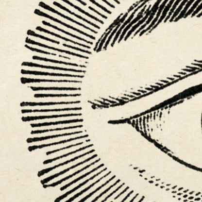 Pósteres de anatomía vintage "EYE FULL" Juego de 3 pósteres