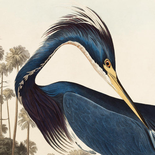 Juego de 2 impresiones de flamencos y garzas de Luisiana