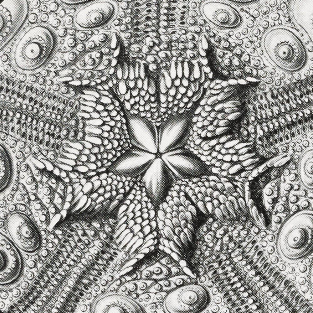 Conjunto de 3 impresiones en blanco y negro