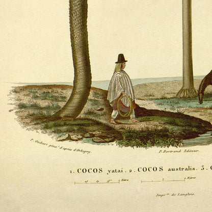 Juego de 3 láminas de cactus y palmeras