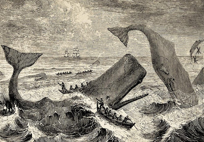 Conjunto de 5 carteles de la galería Ocean Gallery