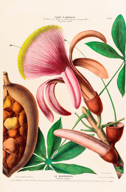 Juego de 6 pósters para pared con galería botánica Le Fleur