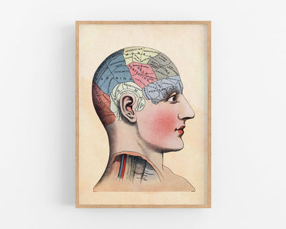 Lámina de mapeo cerebral vintage | Ilustración de la frenología del cráneo | Anatomía de la cabeza humana | Ciencia del cerebro | Giclée Regalo ecológico