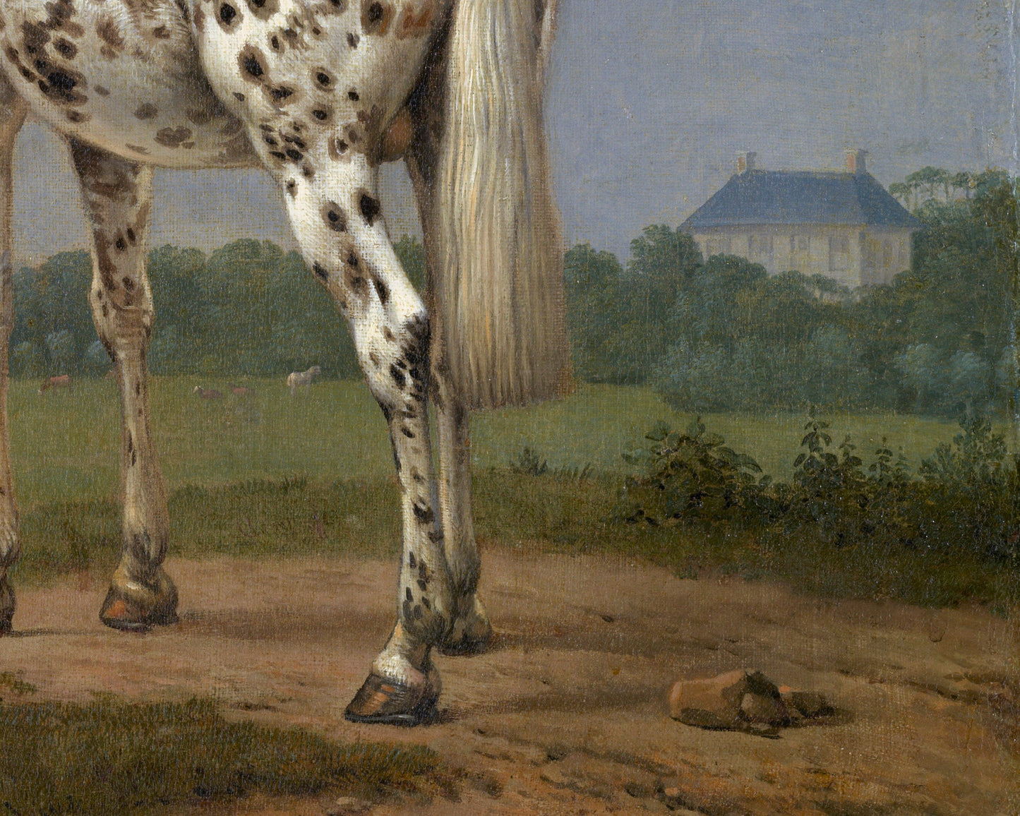 Impresión artística de caballo moteado | Caballo pío antiguo | Bellas artes animales | Pintura equina vintage | Arte mural de caballos | Decoración de granjas y ranchos