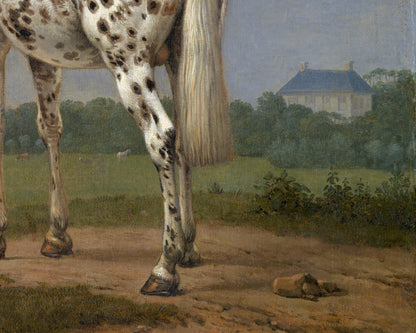 Impresión artística de caballo moteado | Caballo pío antiguo | Bellas artes animales | Pintura equina vintage | Arte mural de caballos | Decoración de granjas y ranchos