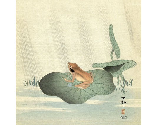 Rana sobre una hoja de loto | Arte mural de animales | Impresión artística en xilografía a color | Escena acuática asiática | Artista japonés | Ohara Koson