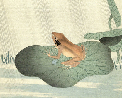 Rana sobre una hoja de loto | Arte mural de animales | Impresión artística en xilografía a color | Escena acuática asiática | Artista japonés | Ohara Koson