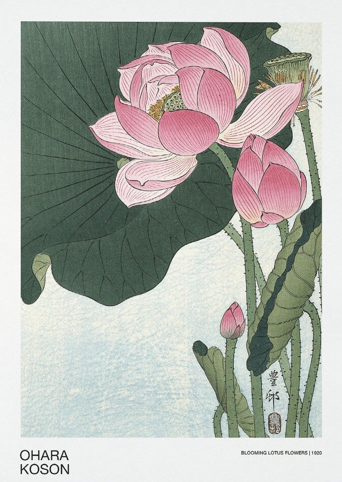 Ohara Koson - Impresión artística japonesa con flores de loto en flor, decoración del hogar, arte de pared