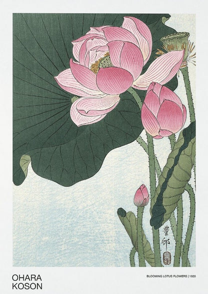Ohara Koson - Impresión artística japonesa con flores de loto en flor, decoración del hogar, arte de pared